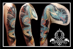Dragon sleeve