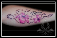 Fenna