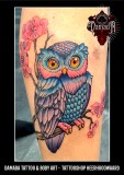 Girly-Owl