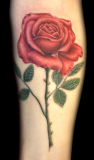 IMG_0692-002