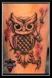 Little-Owl-Cherry-Blossoms