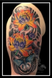 Lotus