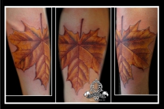 Realistic Leaf