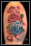 Roses Blue Pink