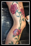 Roses Leg