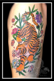 Tiger Bambu
