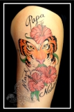 Tijger