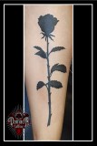 Black-Rose