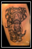 Elephant mandala