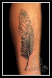 Geometric Feather