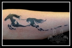 Paard