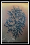 Roses dotwork