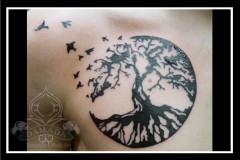 Tree of Life