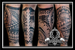 Polynesian Samoan Calf