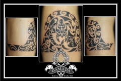 Polynesian Snale