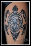 Polynesian Turtle