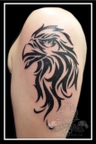 Tribal Hawk
