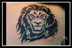 Tribal lion