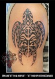 Turtle-Polynesian-Dennis